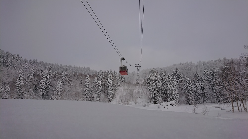 雪の降る朝の赤 ふわふわの軽～い雪を体験 | Daisetsuzan Asahidake Ropeway