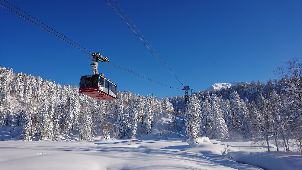 乾山作雪景山水火入一対木箱付幅約9㎝東Y7-0414☆2Fトトオカ