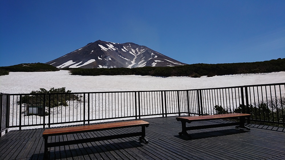 雪の中のお花畑 | Daisetsuzan Asahidake Ropeway