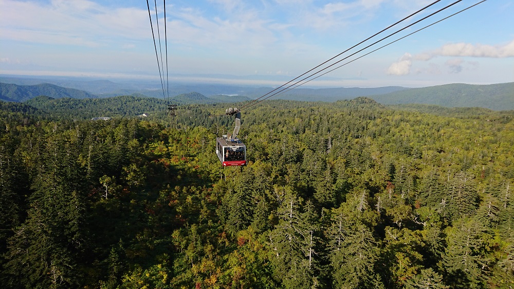 すぐそこ紅葉！ | Daisetsuzan Asahidake Ropeway
